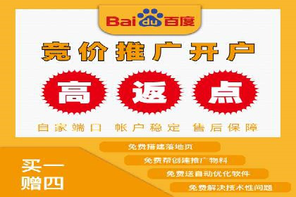 专业竞价SEM托管成功案例解析